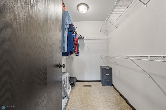 6718 69th Ave S, Horace, ND 58047 - walk in closet with carpet