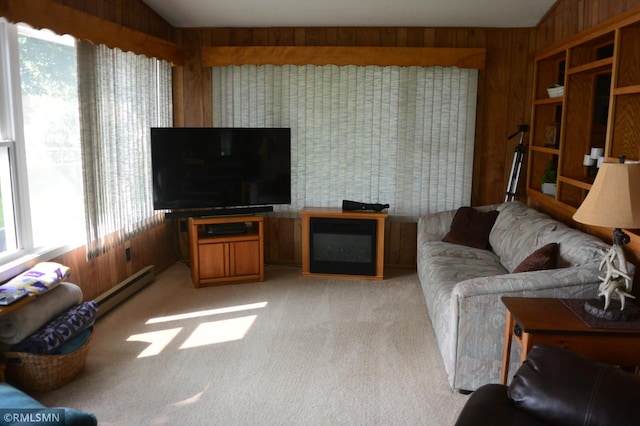 55303 County Road 38, Buffalo Lake, MN 55314 - photo 15