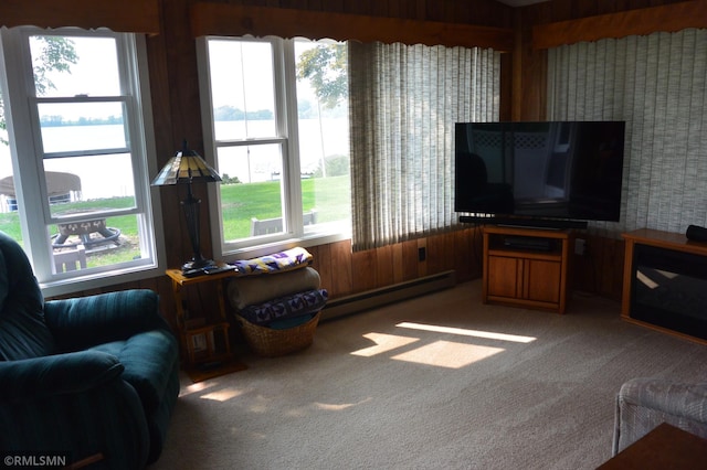 55303 County Road 38, Buffalo Lake, MN 55314 - photo 16