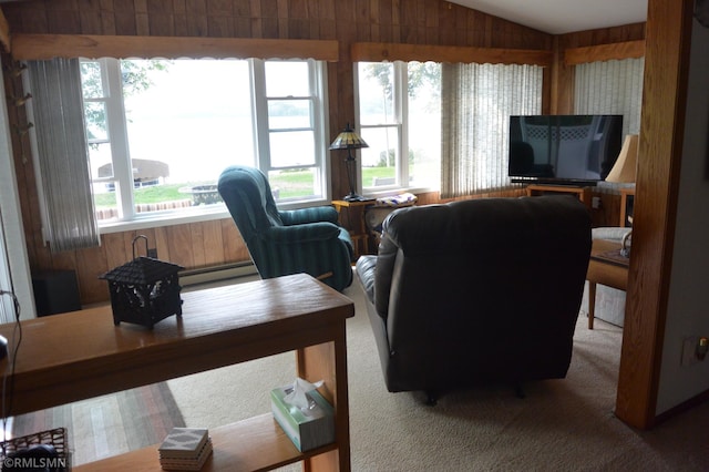 55303 County Road 38, Buffalo Lake, MN 55314 - photo 18