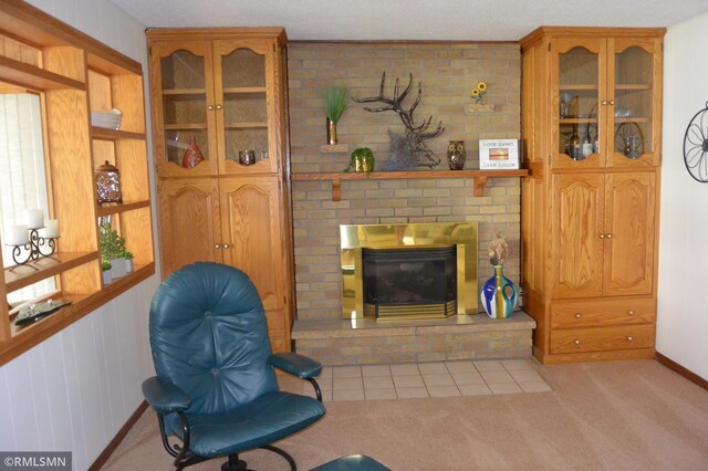 55303 County Road 38, Buffalo Lake, MN 55314 - photo 19