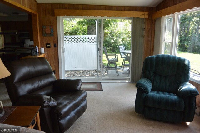 55303 County Road 38, Buffalo Lake, MN 55314 - photo 17