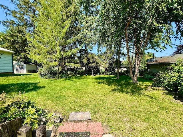 508 2nd Ave, Goodhue, MN 55027 - view of green lawn