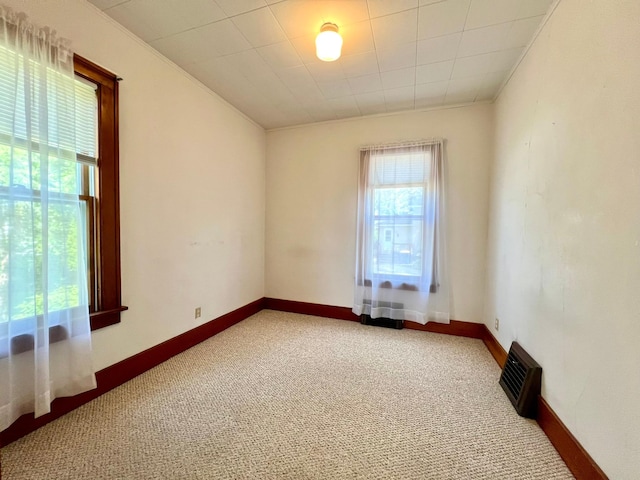 508 2nd Ave, Goodhue, MN 55027 - carpeted empty room with ornamental molding and baseboards