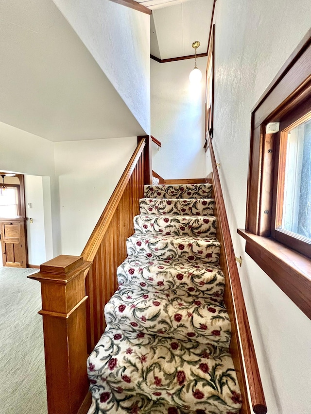 508 2nd Ave, Goodhue, MN 55027 - staircase with carpet and baseboards