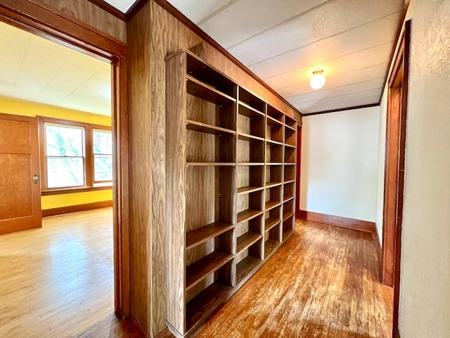 508 2nd Ave, Goodhue, MN 55027 - hall with wood-type flooring and baseboards