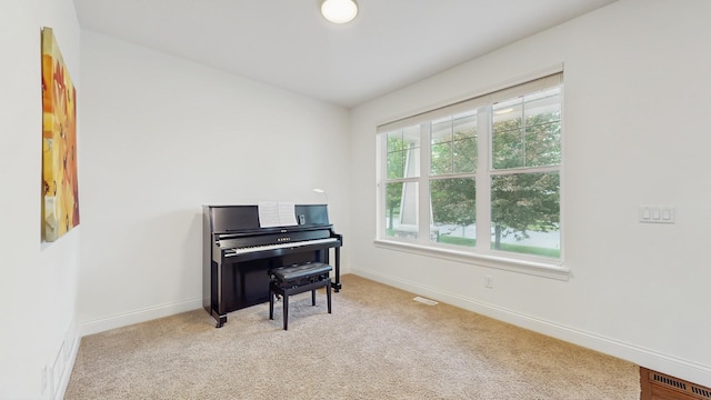 11330 Harness Rd, Woodbury, MN 55129 - living area featuring carpet and baseboards
