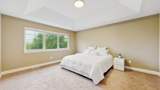 11330 Harness Rd, Woodbury, MN 55129 - bedroom featuring a raised ceiling, baseboards, and carpet flooring