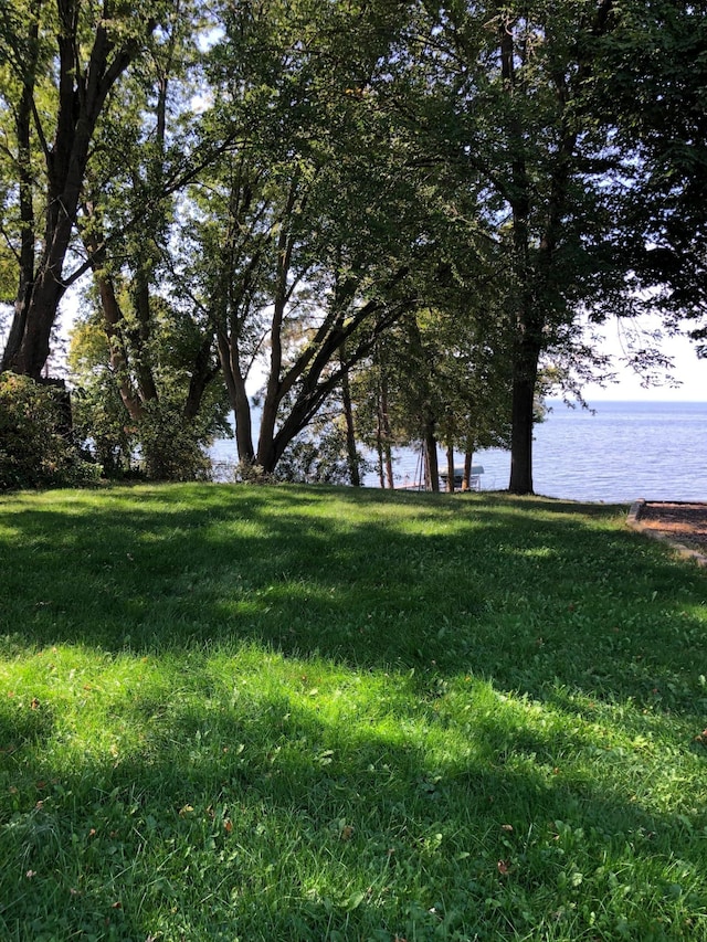 43923 Vista Rd, Isle, MN 56342 - view of green lawn with a water view