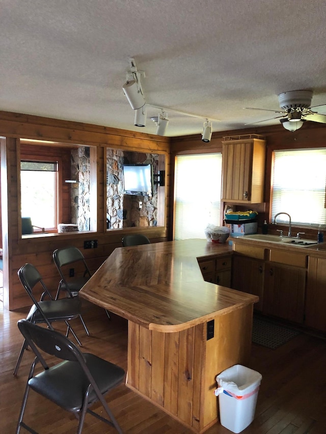 43923 Vista Rd, Isle, MN 56342 - kitchen with a sink, a textured ceiling, wood finished floors, a peninsula, and rail lighting