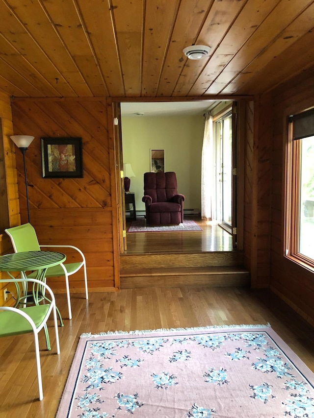 43923 Vista Rd, Isle, MN 56342 - corridor with wooden ceiling, wood-type flooring, wooden walls, and a baseboard radiator