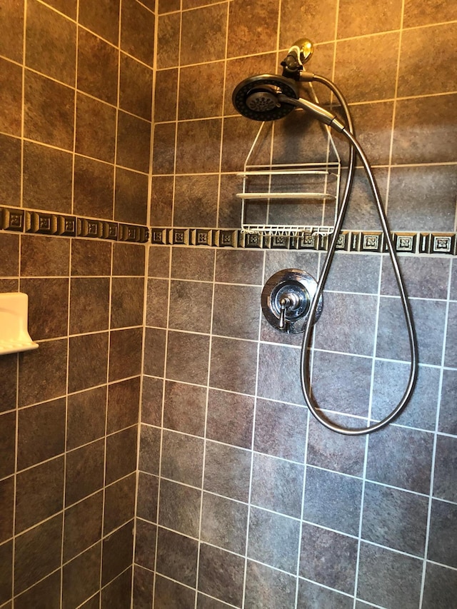 43923 Vista Rd, Isle, MN 56342 - bathroom view of tiled shower