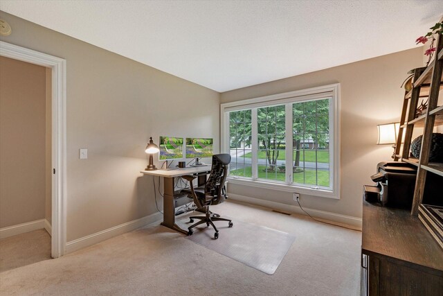 6570 Rustic Rd SE, Prior Lake, MN 55372 - photo 45