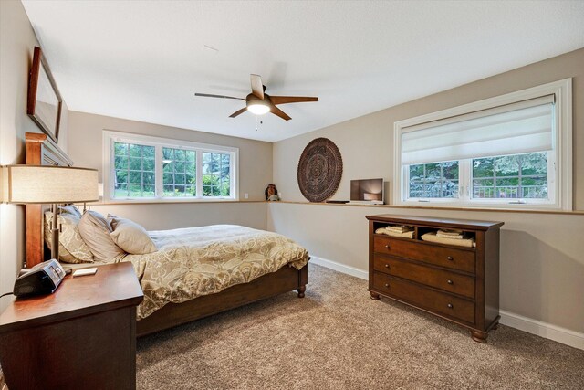 6570 Rustic Rd SE, Prior Lake, MN 55372 - photo 47