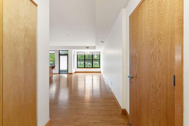 4500 Chicago Ave Unit 103, Minneapolis, MN 55407 - corridor with wood finished floors and baseboards