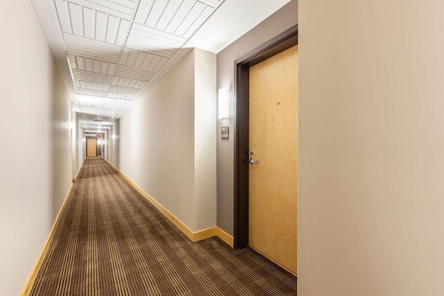 4500 Chicago Ave Unit 103, Minneapolis, MN 55407 - hall featuring carpet floors and baseboards