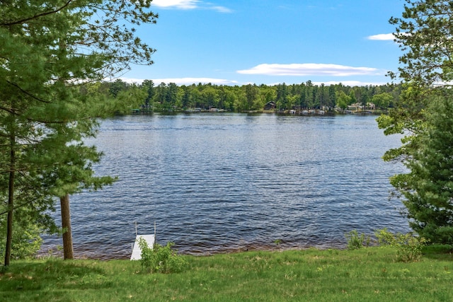 2625 7th Ave, Chetek, WI 54728 - water view featuring a forest