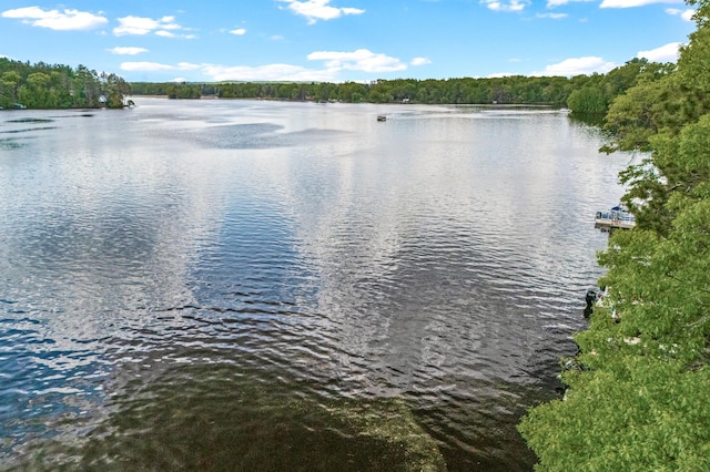 2625 7th Ave, Chetek, WI 54728 - water view featuring a forest