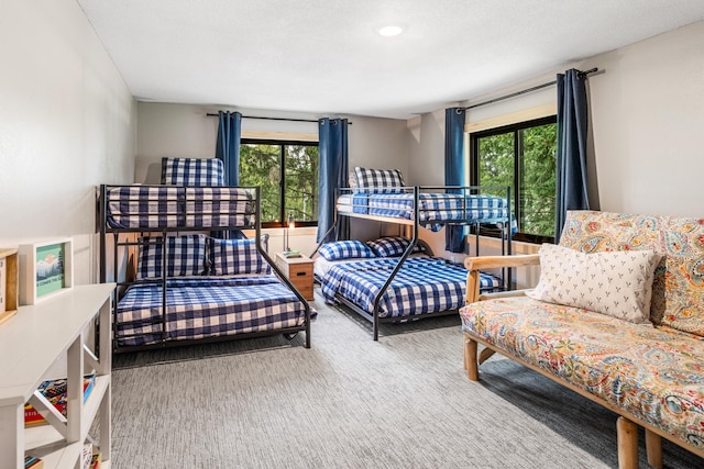 2625 7th Ave, Chetek, WI 54728 - bedroom featuring multiple windows and carpet floors
