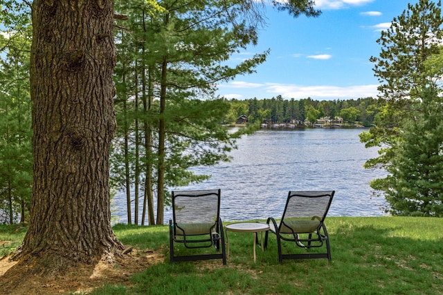 2625 7th Ave, Chetek, WI 54728 - water view with a forest