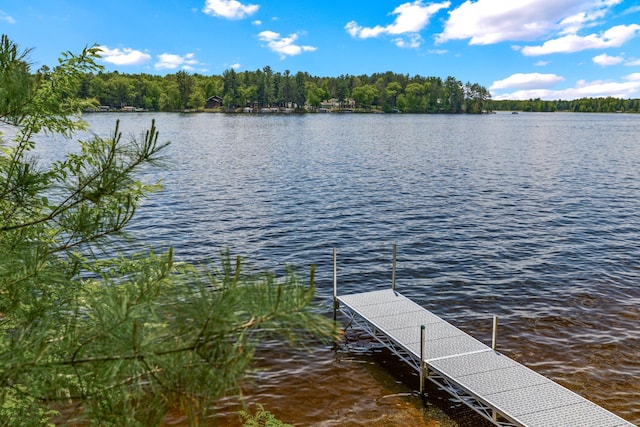 2625 7th Ave, Chetek, WI 54728 - dock with a water view and a view of trees