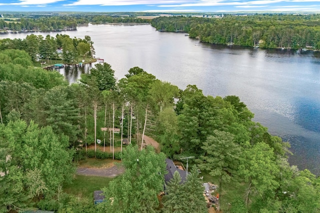 2625 7th Ave, Chetek, WI 54728 - aerial view of a nearby body of water and a forest