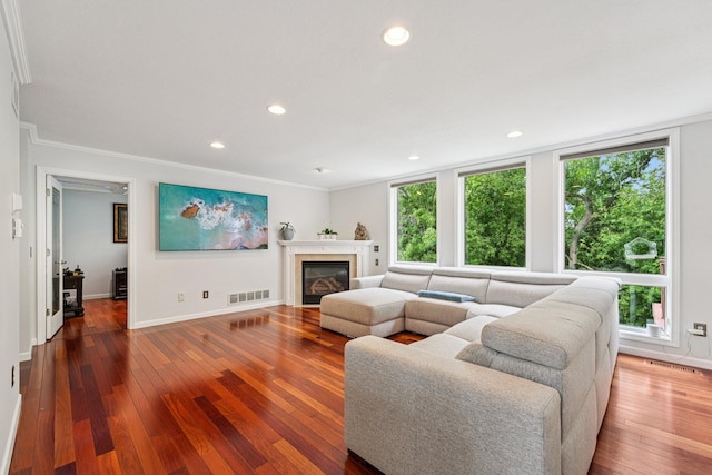 14075 45th Ct NE, Saint Michael, MN 55376 - living room with wood-type flooring, ornamental molding, baseboards, recessed lighting, and a glass covered fireplace