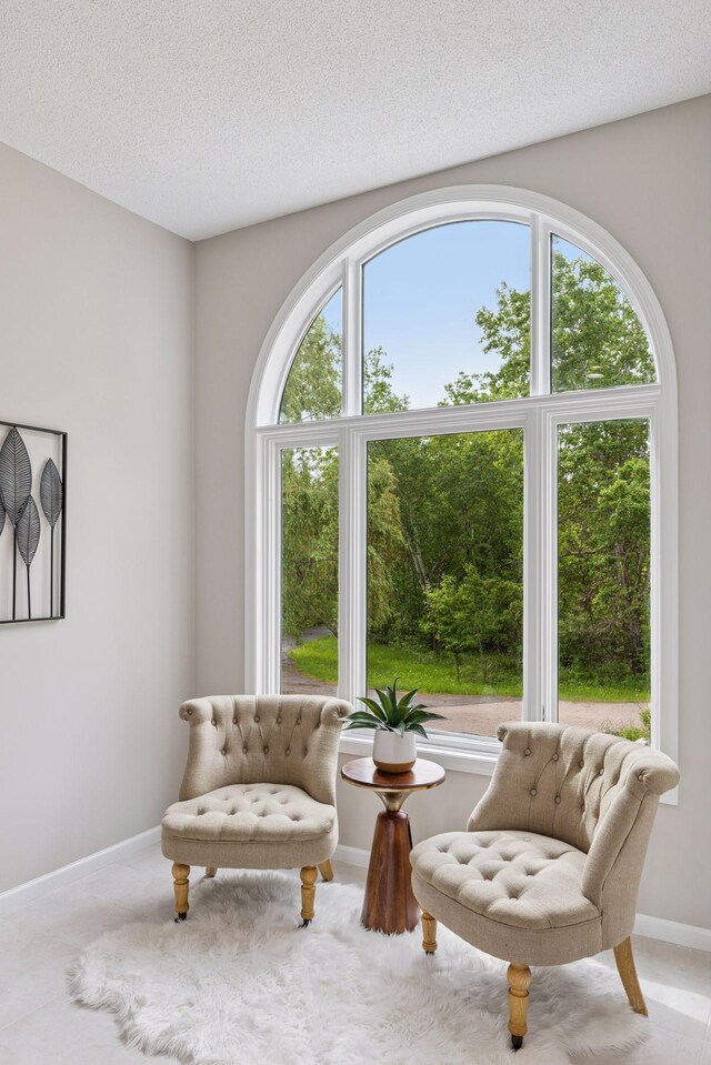 17032 Valley Dr NW, Andover, MN 55304 - sitting room with healthy amount of natural light, carpet floors, and baseboards
