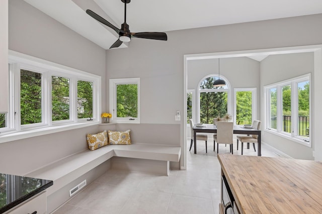 17032 Valley Dr NW, Andover, MN 55304 - sunroom / solarium featuring vaulted ceiling