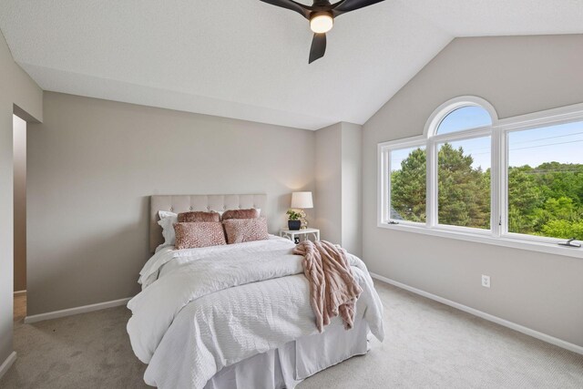 17032 Valley Dr NW, Andover, MN 55304 - carpeted bedroom featuring baseboards, lofted ceiling, and ceiling fan