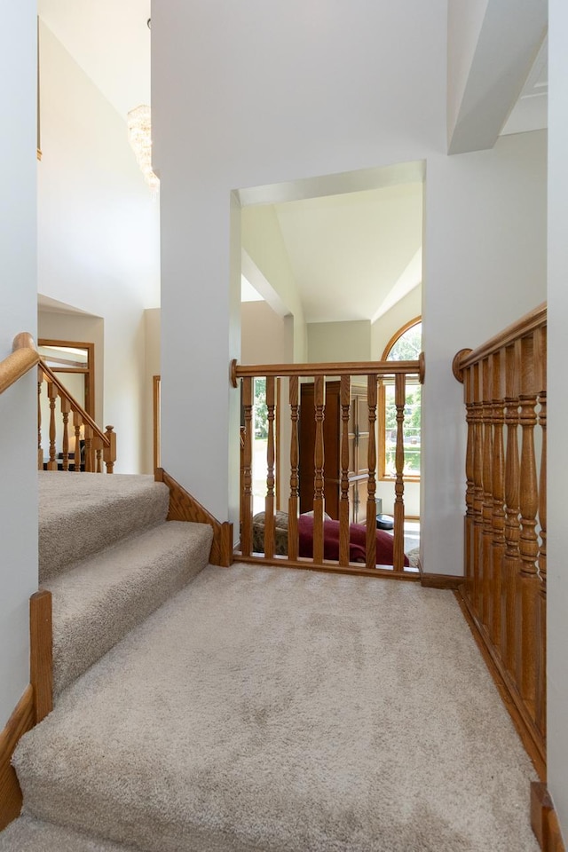 10847 Alberton Ct, Inver Grove Heights, MN 55077 - photo 30