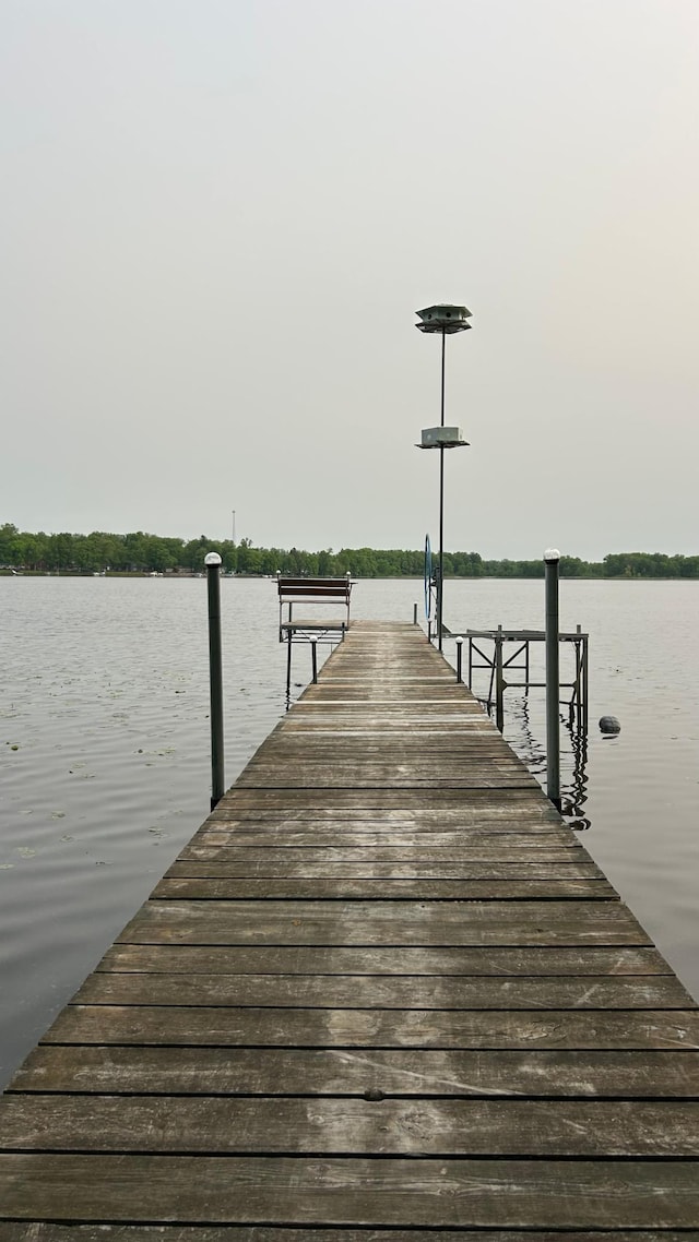 26302 Lakeview Dr, Comfort Twp, MN 55051 - dock with a water view