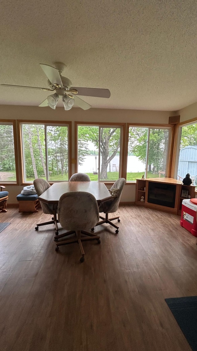 26302 Lakeview Dr, Comfort Twp, MN 55051 - dining space featuring wood finished floors, a textured ceiling, and ceiling fan