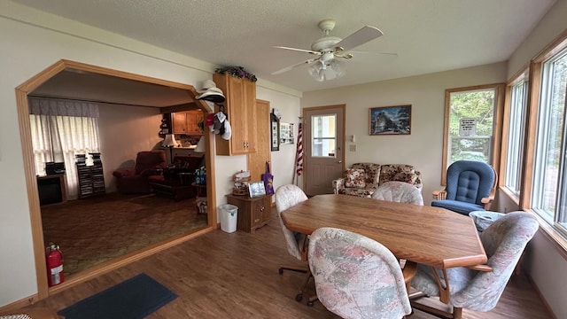 26302 Lakeview Dr, Comfort Twp, MN 55051 - dining room featuring wood finished floors and ceiling fan