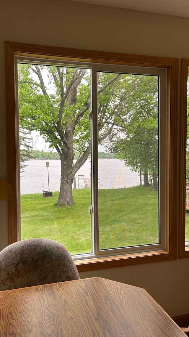 26302 Lakeview Dr, Comfort Twp, MN 55051 - bedroom featuring a water view