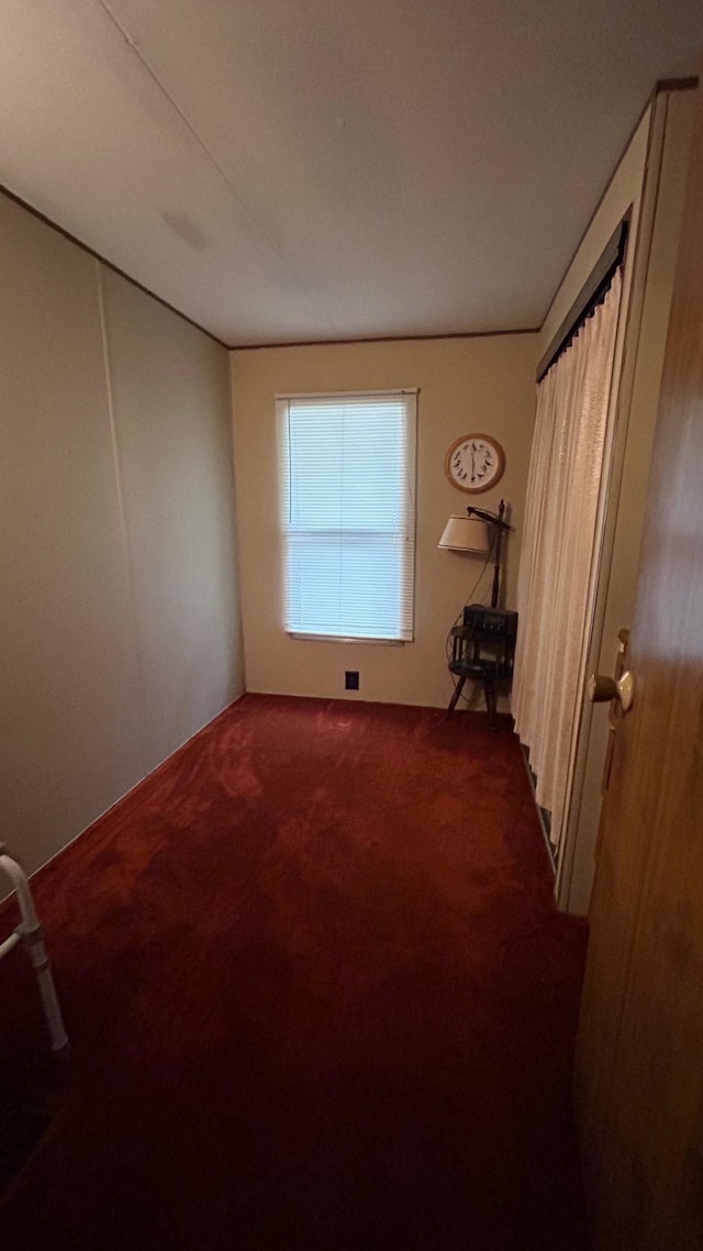 26302 Lakeview Dr, Comfort Twp, MN 55051 - spare room with dark colored carpet