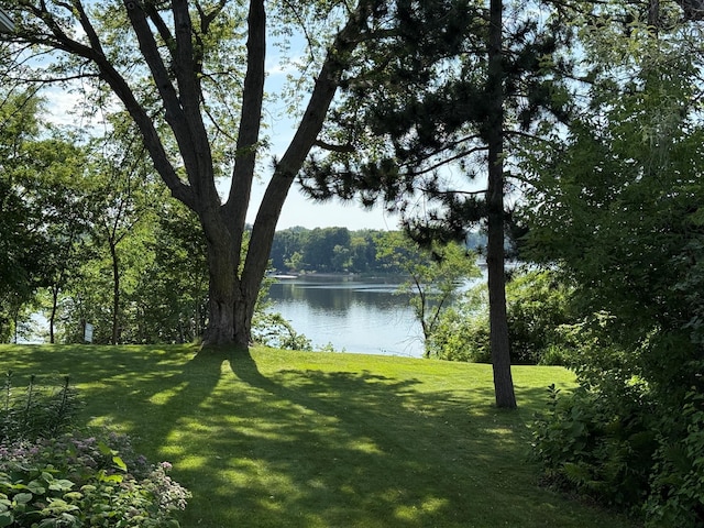 216 Summit Ave, Center City, MN 55012 - water view with a forest