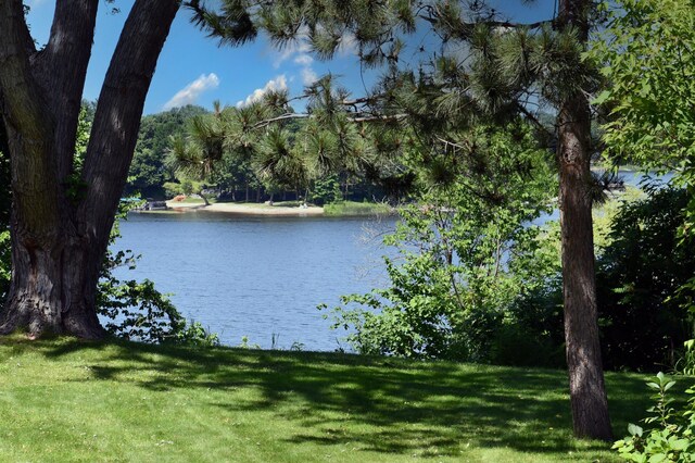 216 Summit Ave, Center City, MN 55012 - water view with a heavily wooded area