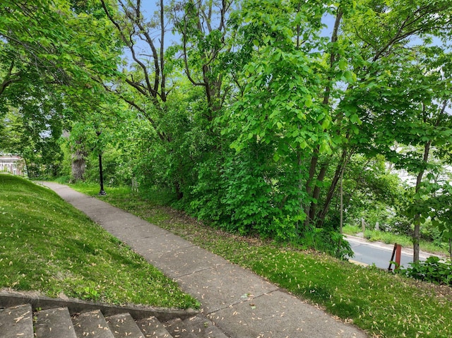 216 Summit Ave, Center City, MN 55012 - view of community