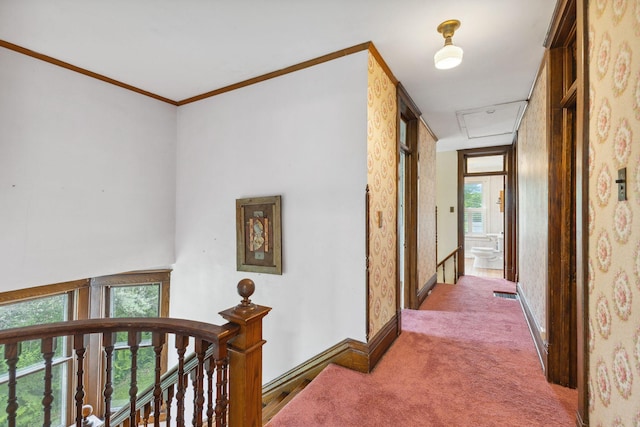 216 Summit Ave, Center City, MN 55012 - corridor featuring an upstairs landing, plenty of natural light, carpet flooring, and crown molding