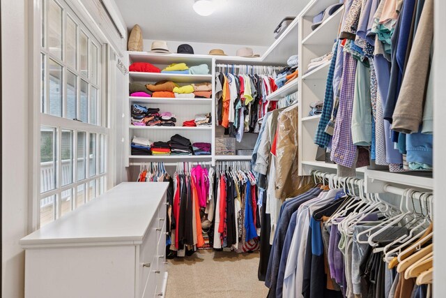 1709 Baywood Ln, Mound, MN 55364 - spacious closet featuring carpet flooring