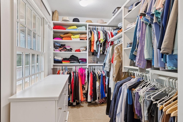 1709 Baywood Ln, Mound, MN 55364 - spacious closet featuring carpet flooring