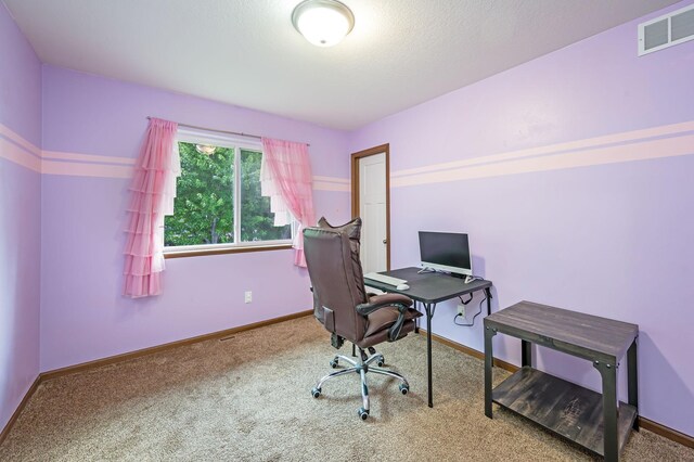 1104 Heron Dr, Mankato, MN 56001 - photo 27