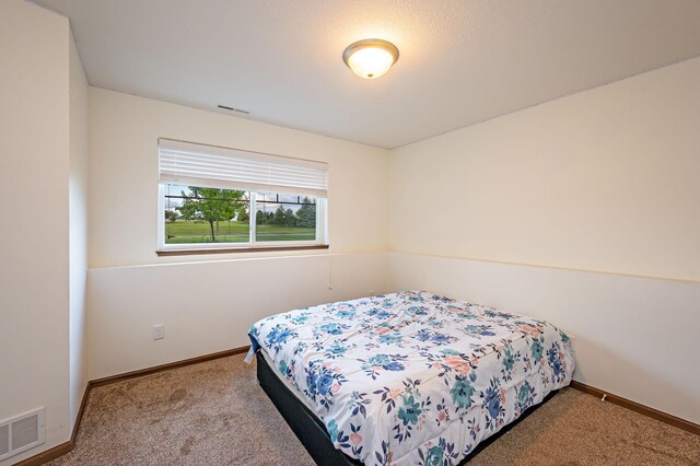1104 Heron Dr, Mankato, MN 56001 - photo 36