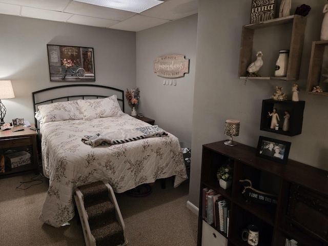 1612 17th St SW, Austin, MN 55912 - view of carpeted bedroom