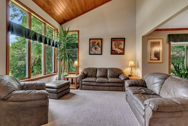 2904 Park Dr, Saint Cloud, MN 56303 - carpeted living area with wooden ceiling and lofted ceiling