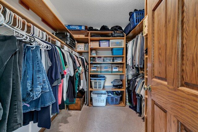 2904 Park Dr, Saint Cloud, MN 56303 - spacious closet with carpet flooring