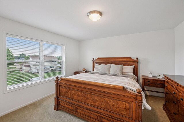 26912 Meadow Ridge Dr, Elko New Market, MN 55020 - photo 34