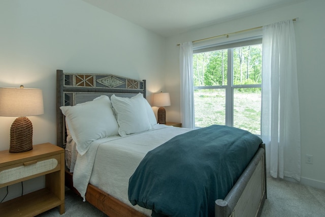 31709 Green Scene Dr, Breezy Point, MN 56472 - bedroom featuring carpet floors and baseboards