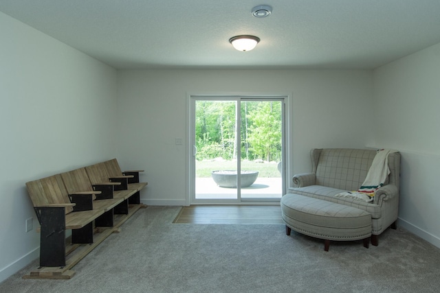 31709 Green Scene Dr, Breezy Point, MN 56472 - living area featuring carpet and baseboards